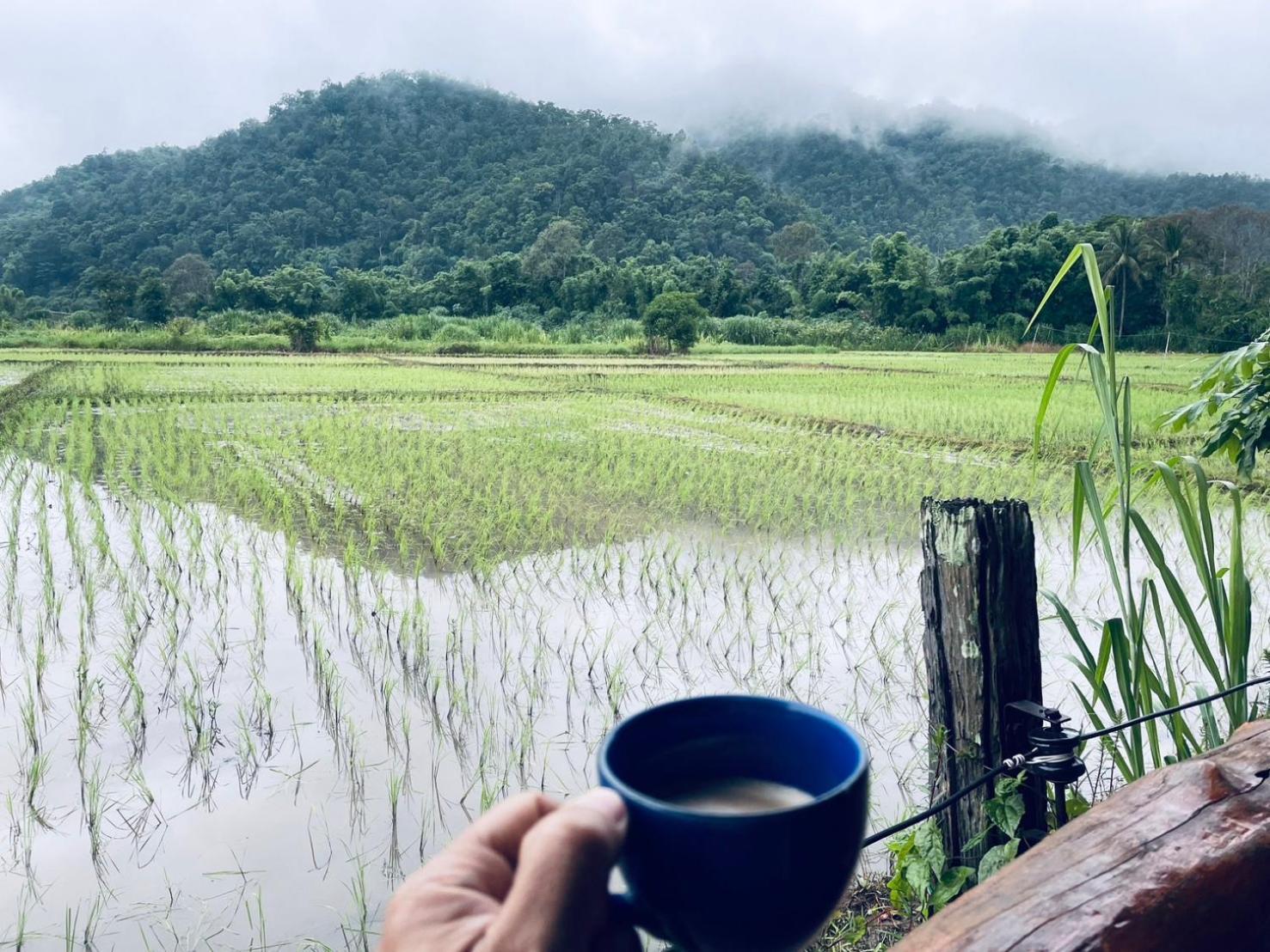 บ้านสวนวิวทุ่ง Ban Mae Sap Nua Exterior photo