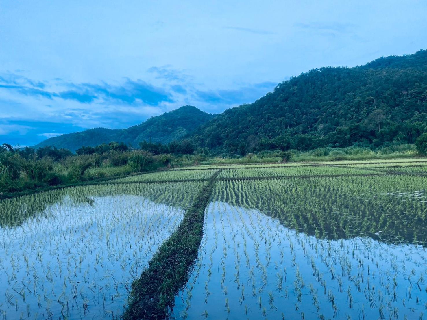 บ้านสวนวิวทุ่ง Ban Mae Sap Nua Exterior photo